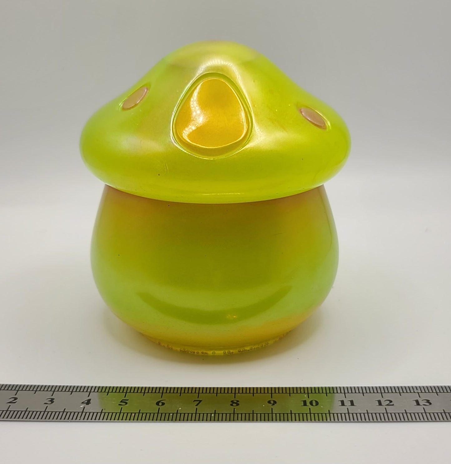 Beautiful handmade resin jar Mushroom D