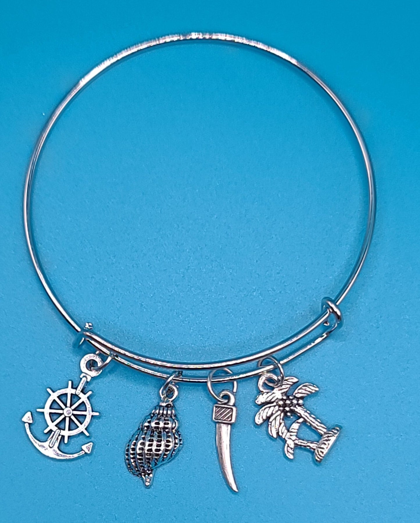 Charming Silver Bangle C