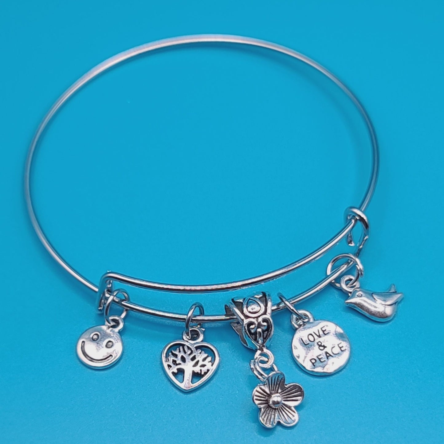 Charming Silver Bangle L