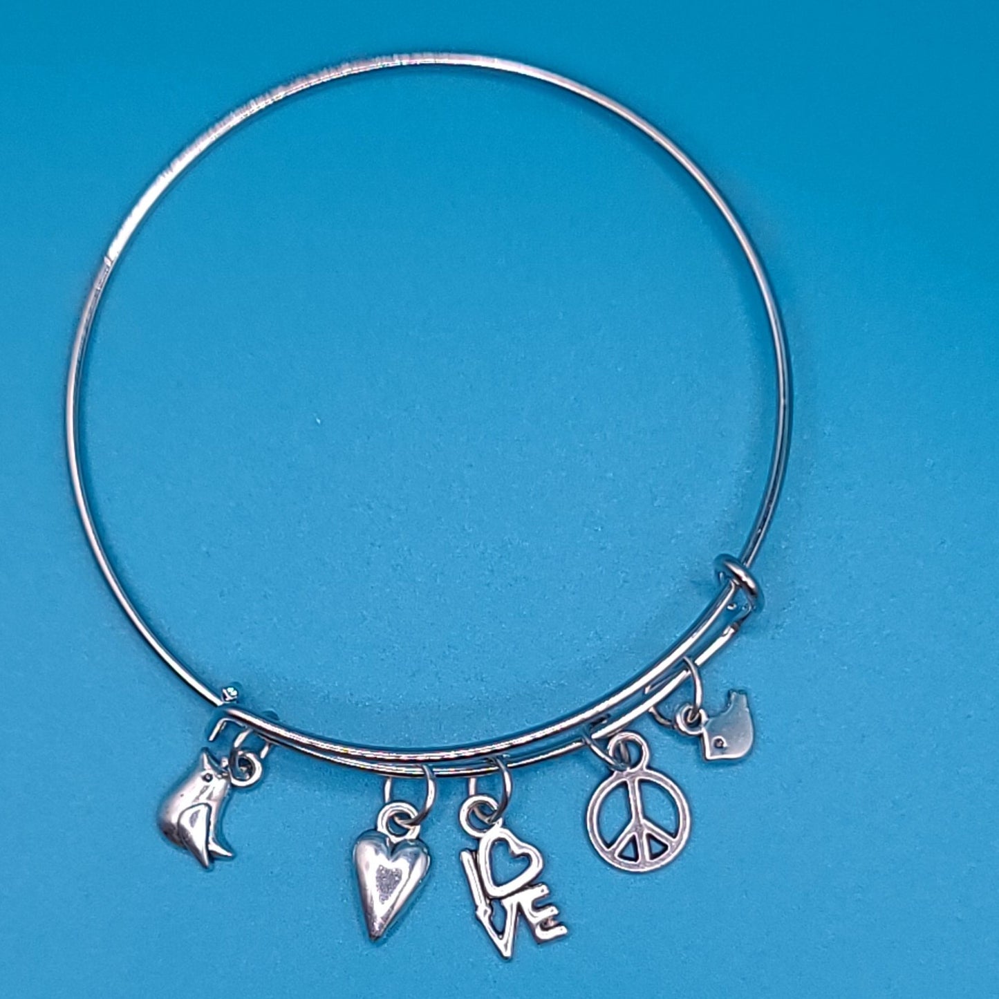 Charming Silver Bangle F