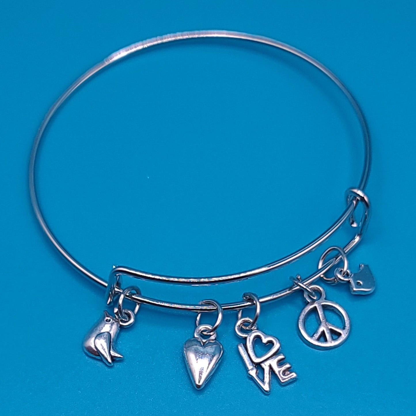 Charming Silver Bangle F