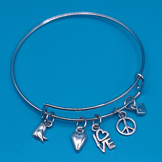 Charming Silver Bangle F