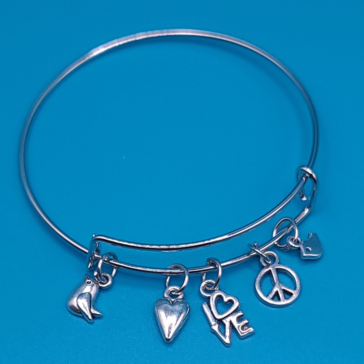 Charming Silver Bangle F